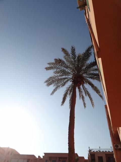 Apartment Twins 12 Marrakesh Exterior photo